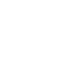 realtor-inspection-real-check